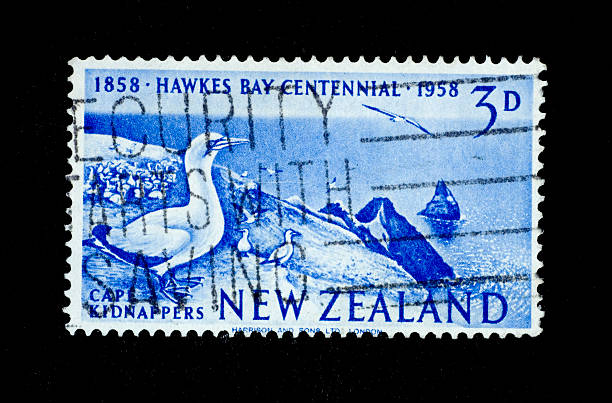 istock Postage Stamp: Hawkes Bay Centennial 1858-1958, Gannets (New Zealand) 172940809