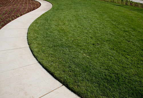 Lawn, garden, and curved sidewalk around grass. XXL.