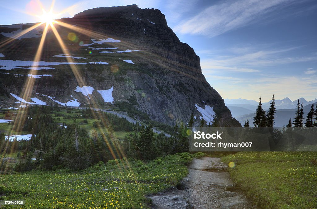 Trail al Logan Pass - Foto stock royalty-free di A forma di stella