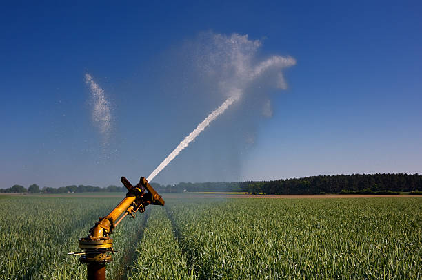 woda jest życia-urządzenie nawadniające - irrigation equipment crop agricultural sprinkler homegrown produce zdjęcia i obrazy z banku zdjęć