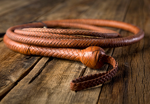 A leather bullwhip on a wooden background.