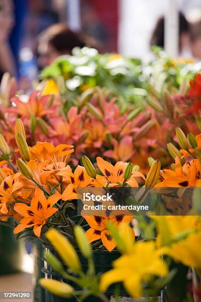 Fiori Freschi Sul Mercato - Fotografie stock e altre immagini di Abbondanza - Abbondanza, Ambientazione esterna, Arancione