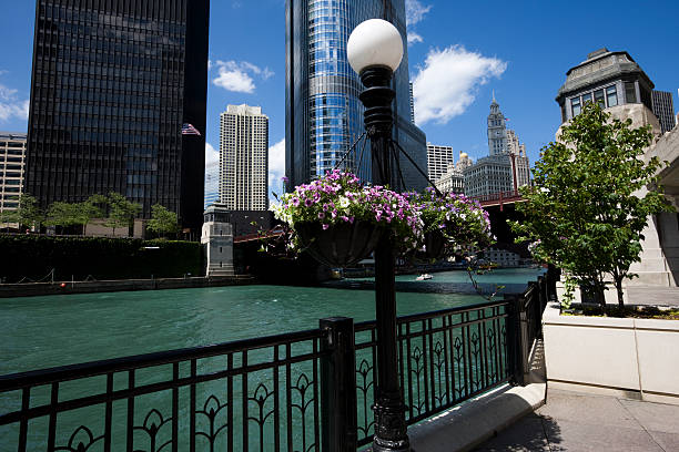 istock Chicago River with Lamp and Flowers 172941617