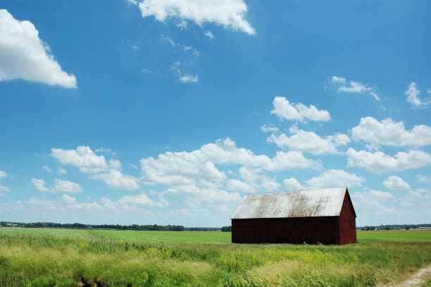 istock Old Barn Indiana Farm on Bright and Sunny June Day 172941716