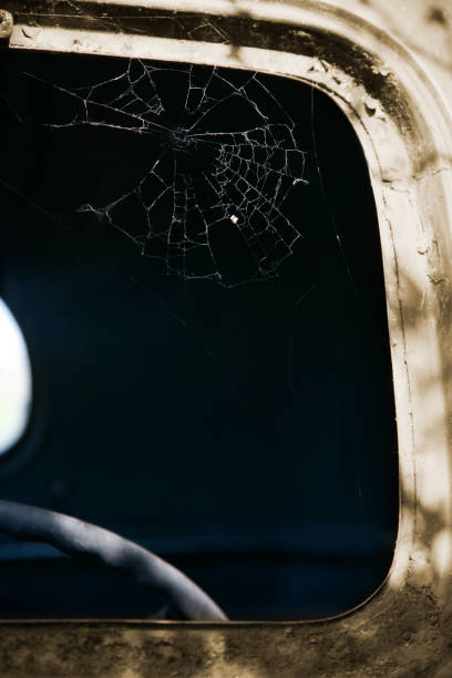 istock truckerspider 172942551