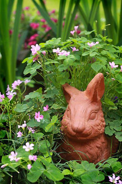 istock Terracotta Bunny in My Garden 172943141