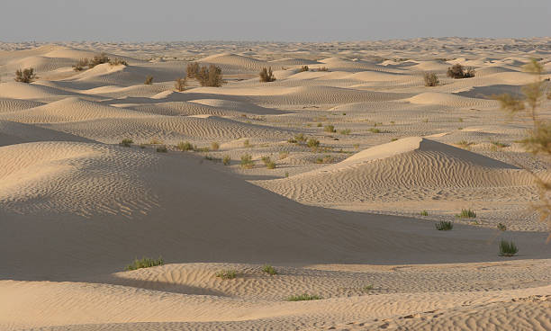tunisia-sahara deserto vista dal zaafrane vicino douz village - zaafrane foto e immagini stock