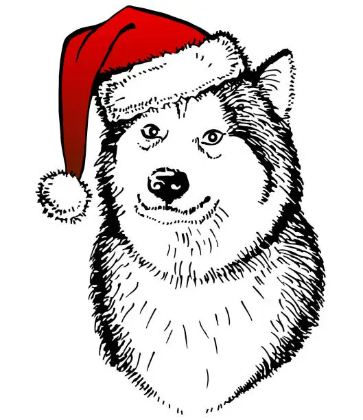 Vector illustration of Husky's dog, in a knitted red hat with a pompon on white background. Vector illustration. Christmas dog. Template for a card, banner, poster, print. Winter holidays. New Year's and Christmas.