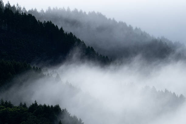 istock beautiful sea of clouds 1729434733