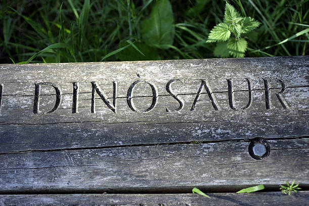 Part of a long inscription on a wooden bench, which describes the viewer's reaction to the green and isolated view from this location: (And I feel like I am in dinosaur land.)     (Everything is green and lovely and that is my favourite place to be).