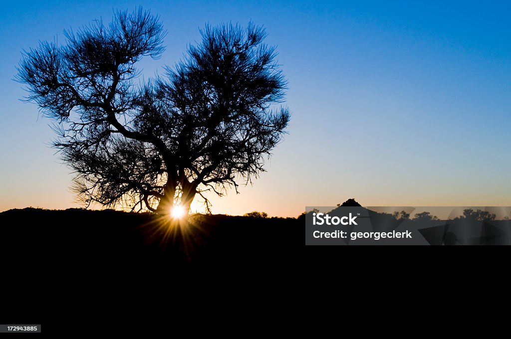 Australijski Outback Sunrise - Zbiór zdjęć royalty-free (Rzewnia)