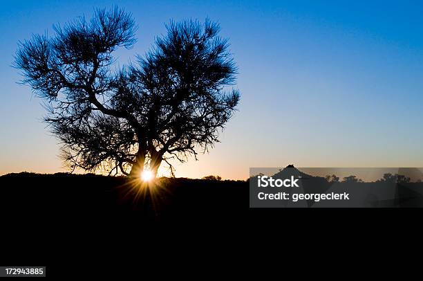 Australijski Outback Sunrise - zdjęcia stockowe i więcej obrazów Rzewnia - Rzewnia, Północne Terytorium, Australia