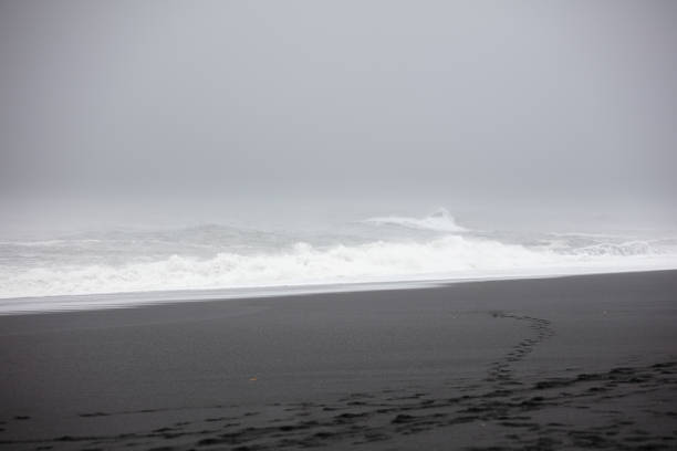 Black sand beach from South Iceland.