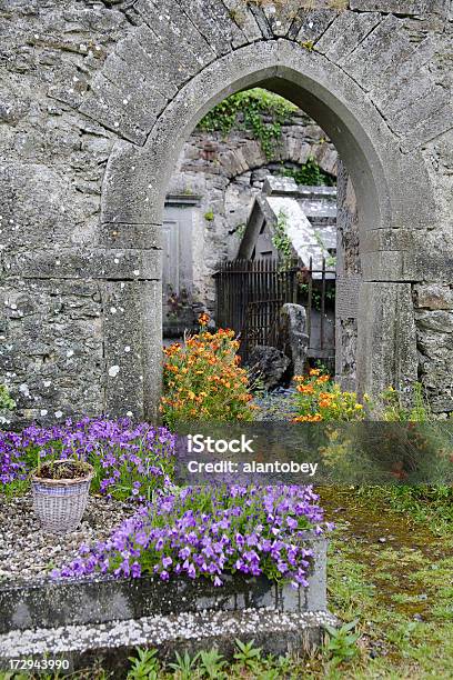 Irland Verlassenen Kirchhof Nahe Bunratty County Clare Stockfoto und mehr Bilder von Blume