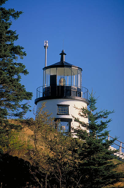 сова's руководитель маяк - owls head lighthouse стоковые фото и изображения