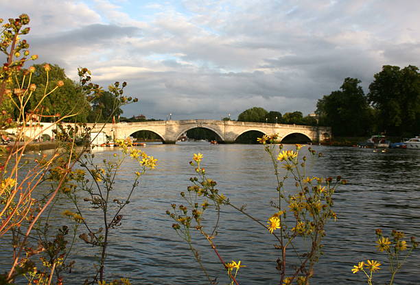 piękne richmond - richmond san rafael bridge zdjęcia i obrazy z banku zdjęć