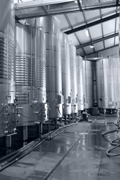istock wine cellar installation with stainless steel tanks 1729449747