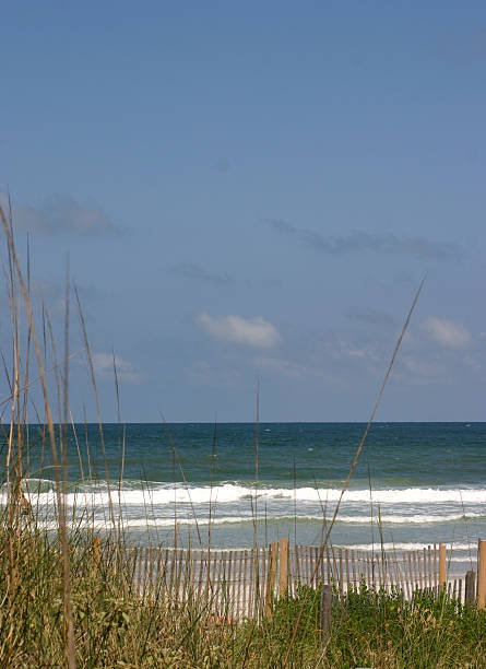 istock Beach, Jacksonville Florida 172945008