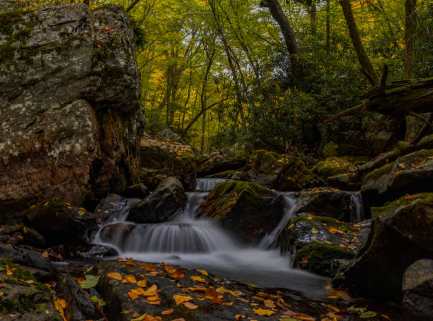 istock Fall at the Cascades in Virginia 1729451838
