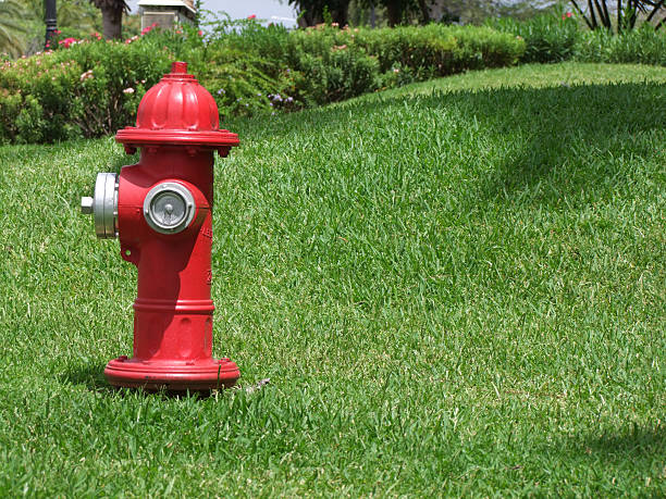 Red firehydrant stock photo