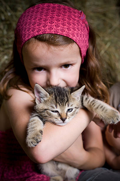 Winking Kitten stock photo