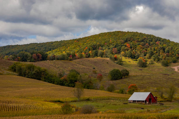 istock Old barn in the country in autumn 1729454981