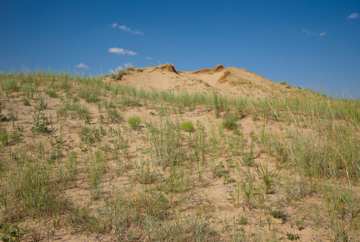 Ancient sand hills and native grass in the high plains (elev. 3300 ft.) of western Kansas.