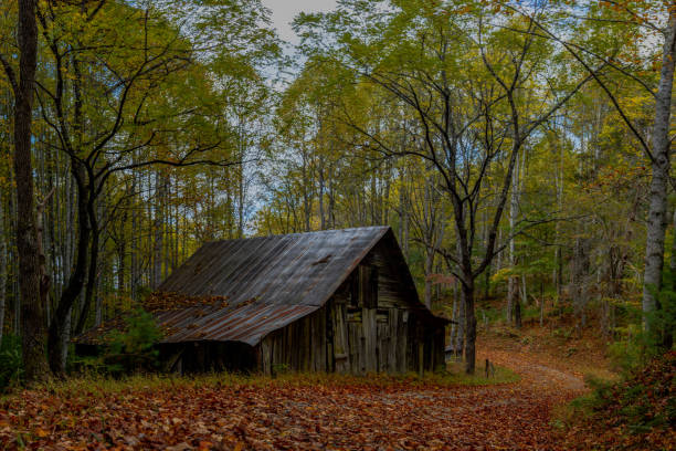 Old barn in the country in autumn