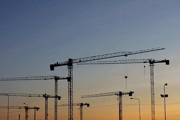 Grues - Photo