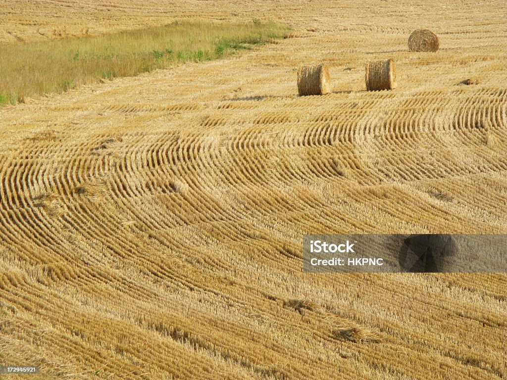 Champ de foin Bales avec trois parcours - Photo de Agriculture libre de droits