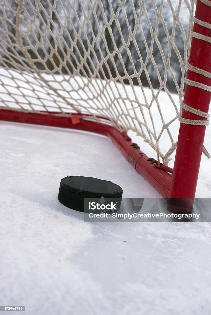 Presque dans le Net - Photo de Hockey sur glace libre de droits