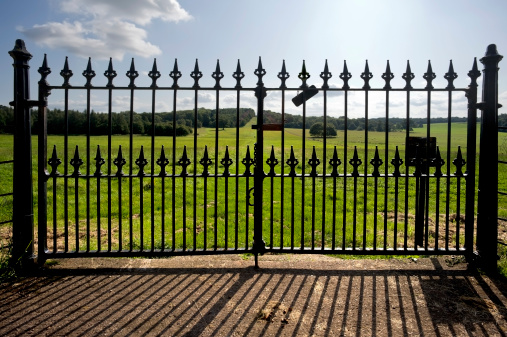 Isolated 3d render illustration of old-fashioned gothic fence and gates on white background.