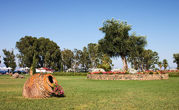 giardino - greece crete beach island foto e immagini stock