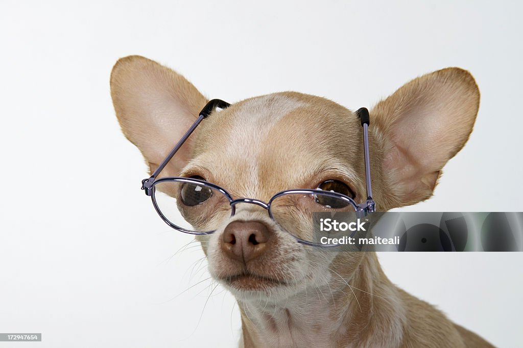 eyeglases - Foto de stock de Adulto maduro libre de derechos