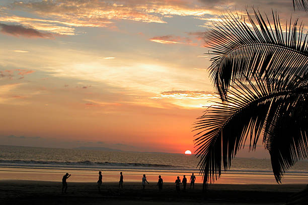 istock Tropical Beach Sunset and Palm Trees, Jaco, Costa Rica 172947800