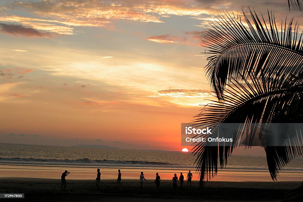 Tropical praia ao pôr do sol e palmeiras, Jaco, Costa Rica - Foto de stock de Jacó - Província de Puntarenas royalty-free