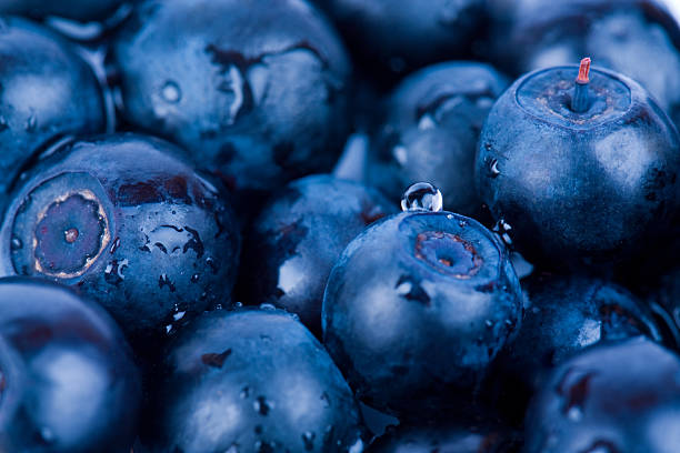 Batch of blueberries covered with water droplets