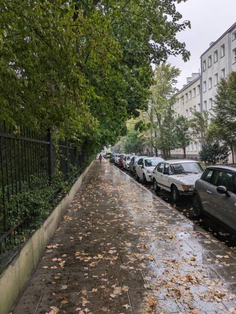 istock Rainy days transform the cityscape into a glistening spectacle 1729478408