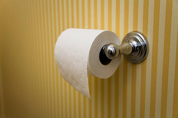 Toilet Paper - Hanging OVER, in Upscale Bathroom Ah, the big debate as to whether the toilet paper hangs over or under the roll. This image is over; see accompanying image for under. terryfic3d stock pictures, royalty-free photos & images