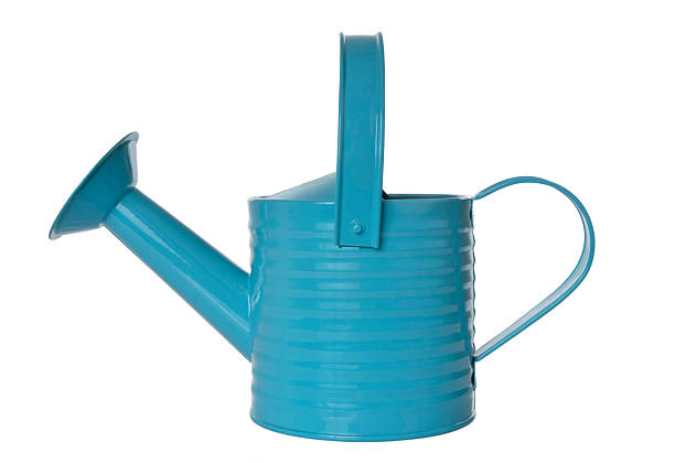 istock Image of light blue watering can on white background 172948134
