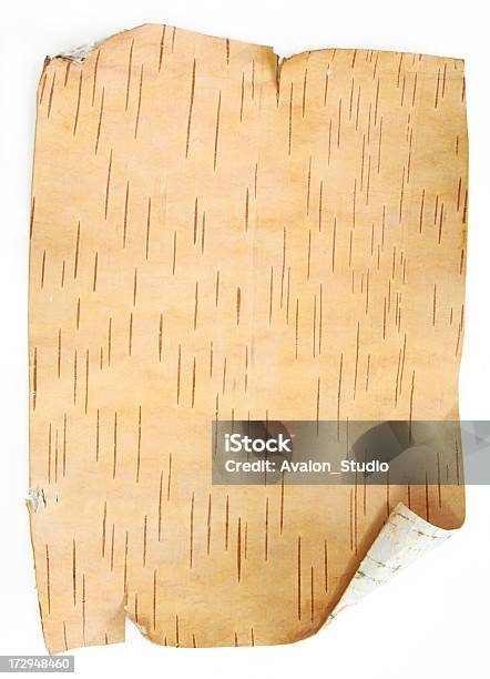 樺の樹皮の - カバノキのストックフォトや画像を多数ご用意 - カバノキ, 木肌, カットアウト