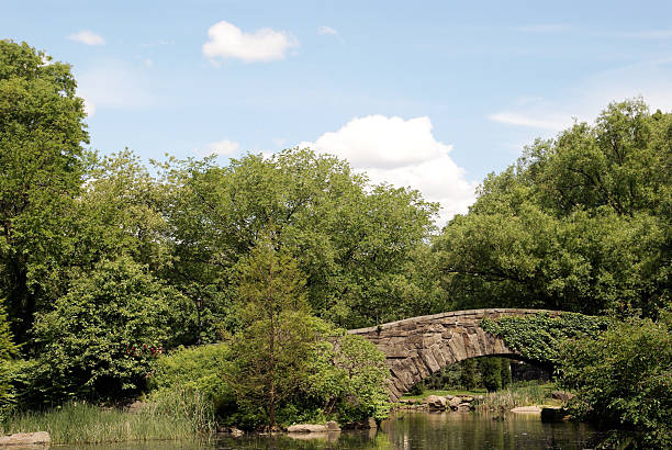 istock Stone Bridge in Central Park New York City 172948488