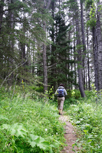 istock Hiking in the Woods 172948544