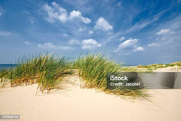 Mar De Arena Y Las Dunas Foto de stock y más banco de imágenes de Aire libre - Aire libre, Aislado, Ajardinado