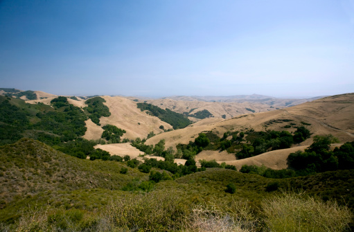 Golden hills of Paso Robles, California
