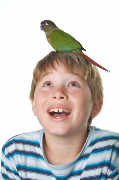 istock Cute Boy and his Pet Bird 172948844