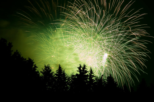 Display of green fireworks in woods.