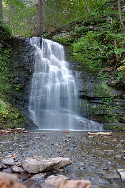 istock Bridesmaid's Fall in Bushkill Falls, Pensilvania 172949552