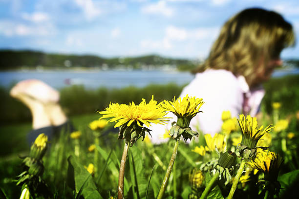 라잉 in the grass - cross processed women field carefree 뉴스 사진 이미지