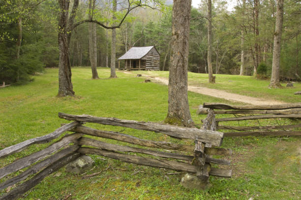 istock cabin and fence 172950259